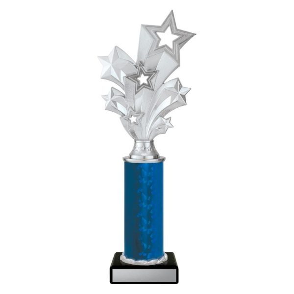 Silver Starburst - Image 5