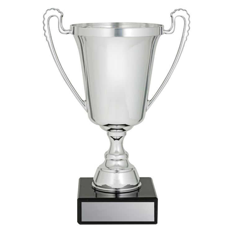 The Moment Cup - Image 2