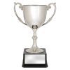 Recognition Cups - Image 3