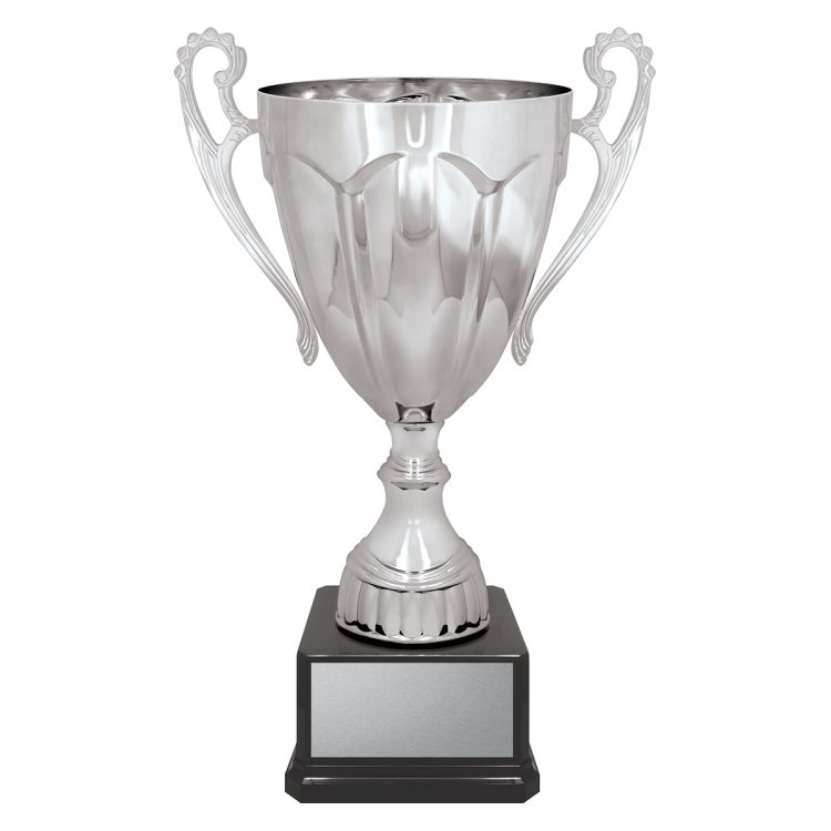 Rubicon Silver Cup - Image 2