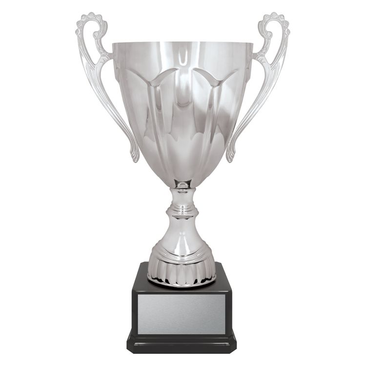 Rubicon Silver Cup - Image 3
