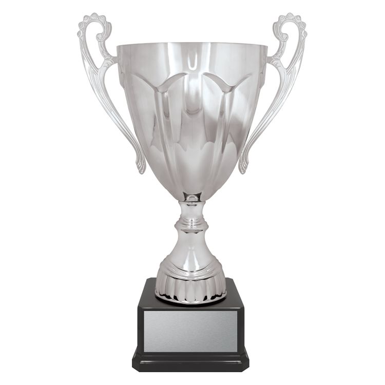 Rubicon Silver Cup - Image 4