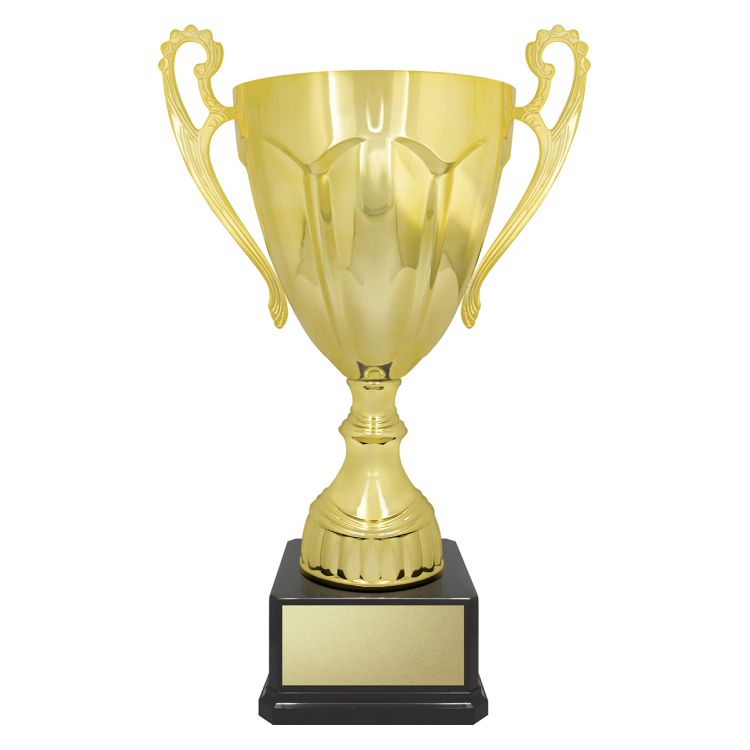 Rubicon Gold Cup - Image 8