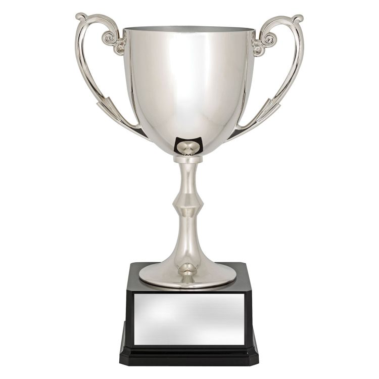 Recognition Cups - Image 4