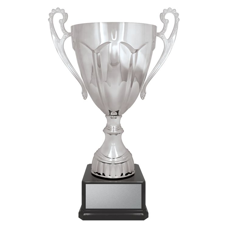 Rubicon Silver Cup - Image 7