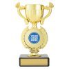 Academy Cup