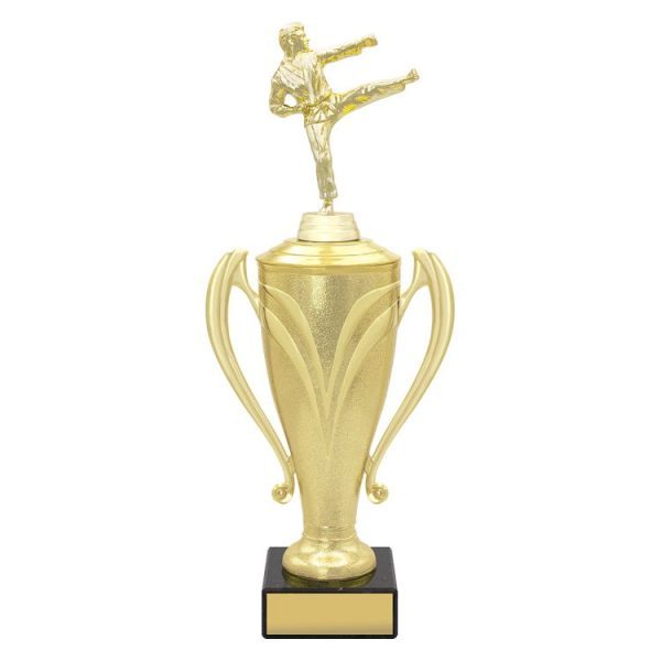 Champion Cups - Image 3