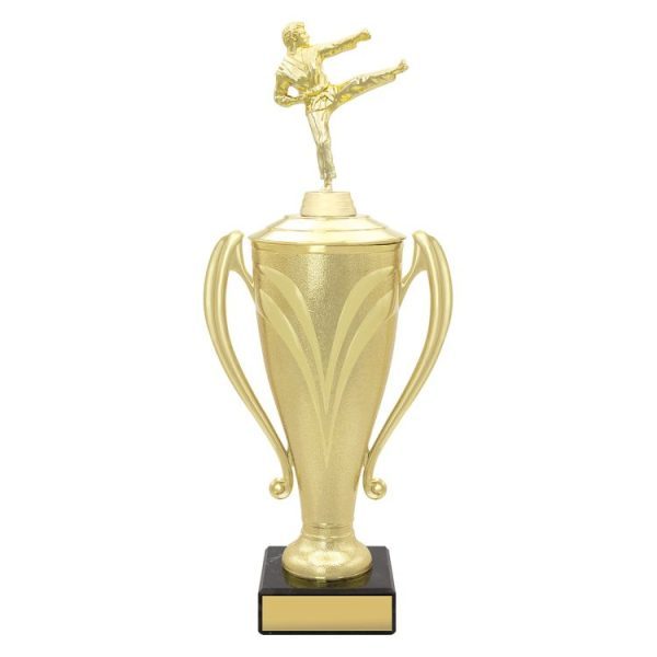 Champion Cups - Image 4