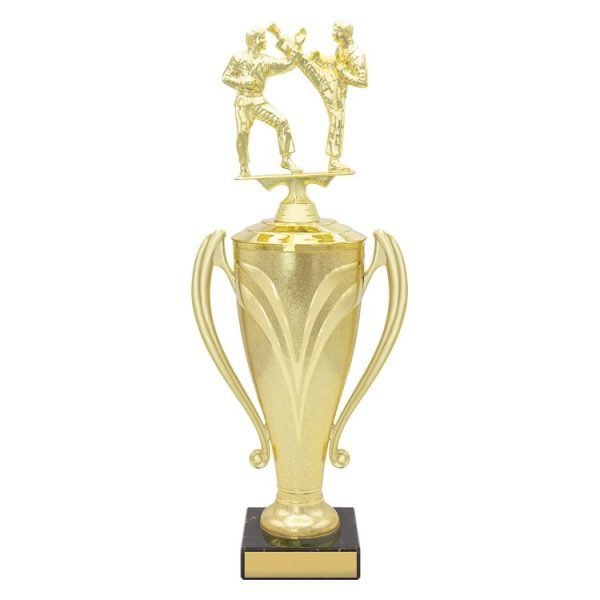 Champion Cups - Image 5